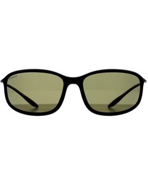 Serengeti Wrap Matte Polarized 555Nm Photochromic Sestriere - Green