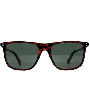 Polaroid Rectangle Havana Polarized Pld 6232/S - Black