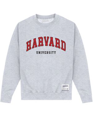 Park Fields Harvard University Script Heather Sweatshirt Cotton - Grey