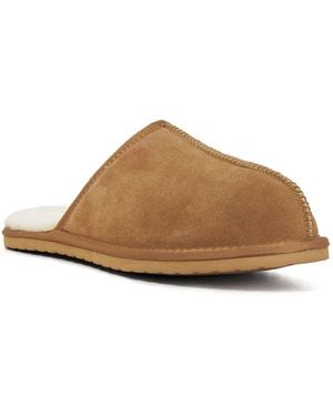 Dune Finny - Brown