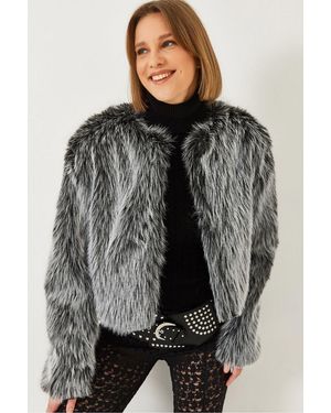 Bianco Lucci Boxy Crop Faux Fur Coat - Grey