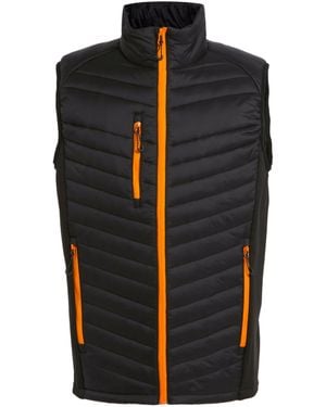 Regatta Navigate Quilted Hybrid Gilet (/ Pop) Material_Synthetic - Black