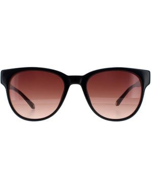 Ted Baker Round Gradient Tb1627 Ware - Brown