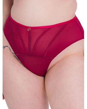 Curvy Kate Senses High Waist Brief - Red