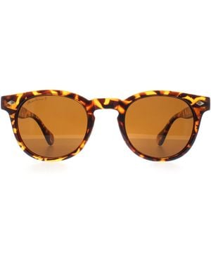 Montana Round Shiny Turtle Polarized Mp191 - Brown