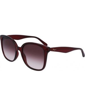 Ferragamo Sf1072S 56 001 Fashion Sunglasses - Brown