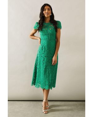 Wallis Lace Fit And Flare Midi Dress - Green