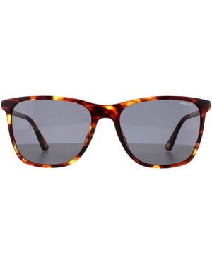 Police Rectangle Medium Shiny Havana Spld45 Origins 46 - Brown