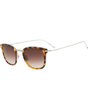 Belstaff Herongate 49 S209 Sunglasses - Brown