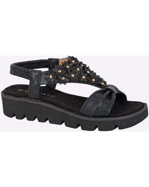 Cipriata Salvia Sandal - Black