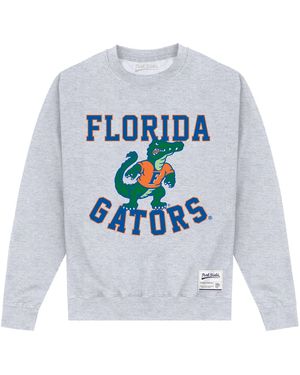 Park Fields University Of Florida Gators Heather Sweatshirt Cotton - Grey