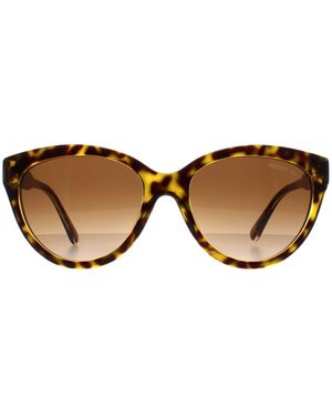 Michael Kors Cat Eye Dark Tortoise On Clear Gradient Mk2158 - Brown