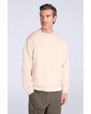 Mountain Warehouse 'Circle Mountain' Crew Neck Sweatshirt Casual Lightweight Pullover Jumper Cotton - Multicolour