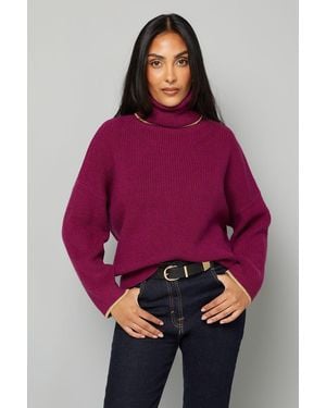 Wallis Petite Roll Neck Detail Jumper - Red