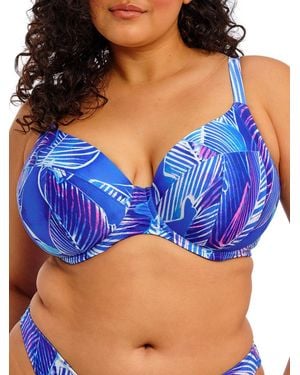 Elomi Maluku Island Plunge Bikini Top - Blue