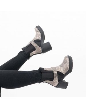 Rocket Dog Kali Ankle Boots Dark - Blue