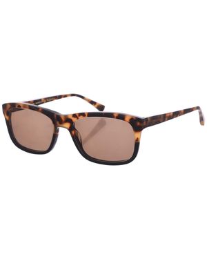 Zen Rectangular Shaped Acetate Sunglasses Z419 - Brown