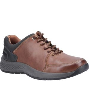 Cotswold Rollright Lace Up Casual Shoe - Brown