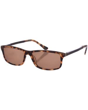 Zen Rectangular Acetate And Metal Sunglasses Z430 - Brown