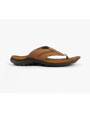 Josef Seibel Logan 25 Sandals Nuss - Brown