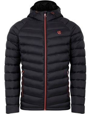 Dare 2b Torrek Mountain Baffled Padded Jacket - Black