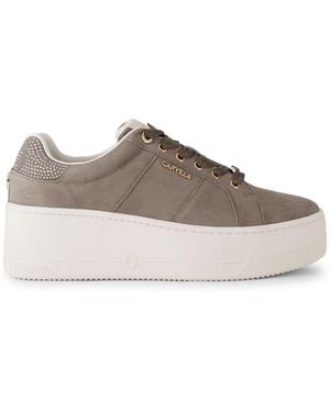 Carvela Kurt Geiger Suede Connected Trainers - Grey