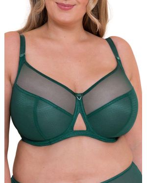 Curvy Kate Victory Balcony Bra - Green