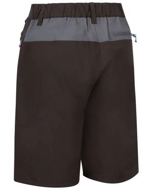 Trespass Ladies Quest Shorts (Peat) - Black