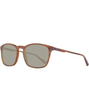Helly Hansen Sunglasses Hh5006 C02 53 - Brown