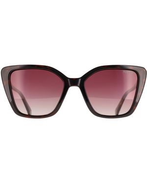 Polaroid Cat Eye Havana Burgundy Gradient Polarized Pld 4189/S - Brown