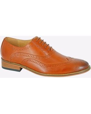 Goor Jurupa Brogues - Brown