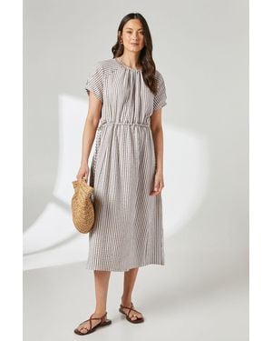 PRINCIPLES Stripe Short Sleeve Gathered Waist Midi Dress Cotton - Brown