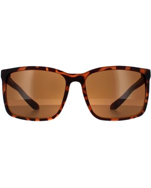 Dragon Square Matte Tortoise Bronze Sunglasses - Brown