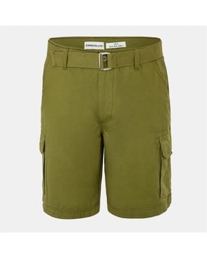 SoulCal & Co California Washed Shorts - Green