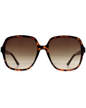 Guess Butterfly Dark Havana Gradient Gf6203 - Brown