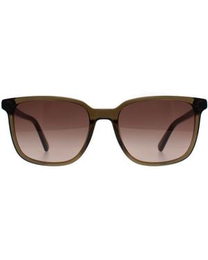 Banana Republic Rectangle Gradient Br 4003/S - Brown