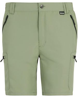 Regatta Leesville Iii Shorts (Light Sage) - Green