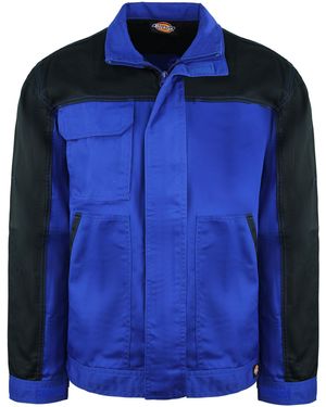 Dickies Two Tone Royal/ Everyday Jacket - Blue