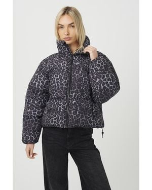 Brave Soul Leopard Print Short Puffer Jacket - Blue
