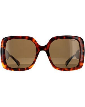 Polaroid Square Dark Havana Bronze Polarized Sunglasses - Brown