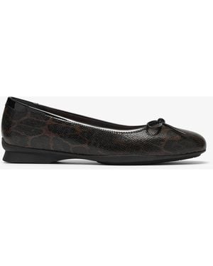 Clarks Jazmynn Bow Leopard Prt Comb Shoes - Black