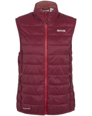 Regatta Ladies Hillpack Ii Gilet (Rumba/Mineral) Material_Synthetic - Purple