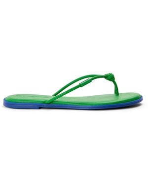 Havaianas Solid Patterned Thong Toe Post Sandals - Green