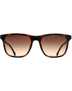Lacoste Rectangle Havana Gradient L6041S - Brown