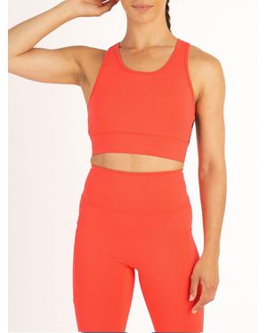 Luke 1977 Spin Sports Bra - Red