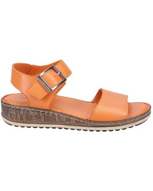 Hush Puppies Ladies Ellie Leather Wedge Sandals - Pink