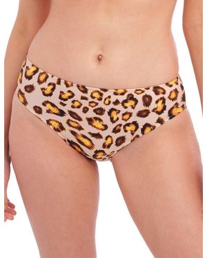 Fantasie 502172 Kabini Oasis Mid Rise Bikini Brief - Brown