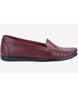 Fleet Foster Tiggy - Purple