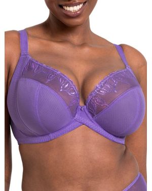 Curvy Kate Flare Plunge Bra - Purple