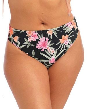 Elomi Dark Tropics Bikini Brief - Black